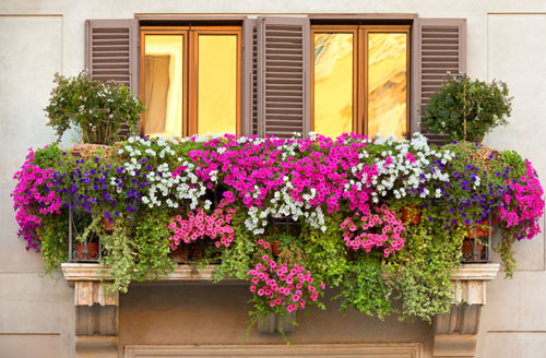 Al via a Laurito il concorso "Il balcone più bello". Ai ...