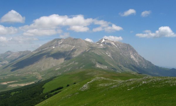 cervati